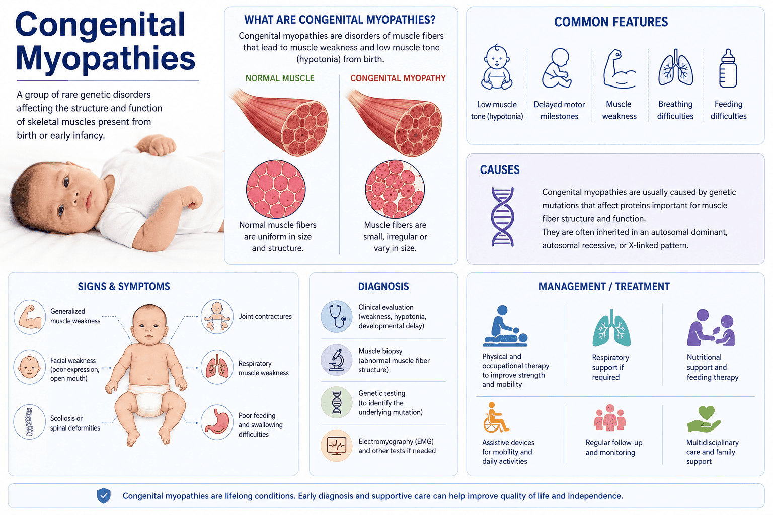 Congenital Myopathies